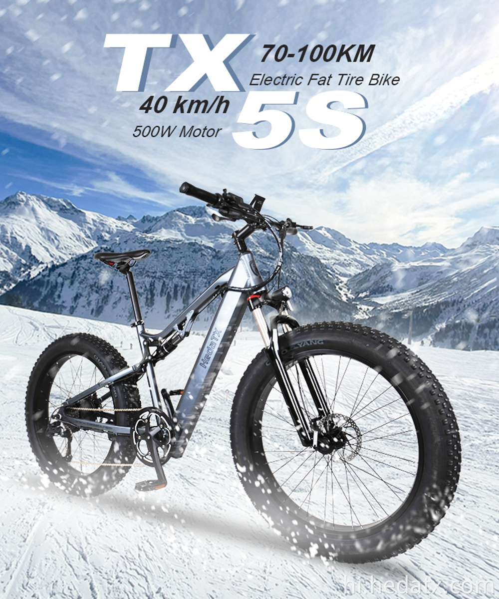 कम कार्बन इलेक्ट्रिक वसा टायर बाइक Low Carbon Electric Fat Tire Bike